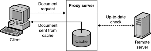 web-proxy-cache